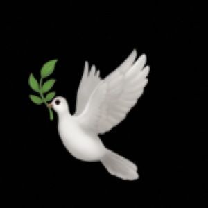 Meet your Posher, Emmanuel